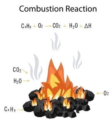 Combustion Problem 的图像结果