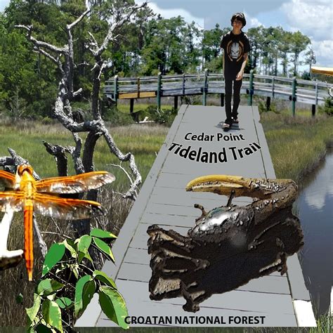 TIDELAND NATIONAL RECREATION TRAIL (2026) All You Need to Know BEFORE ...