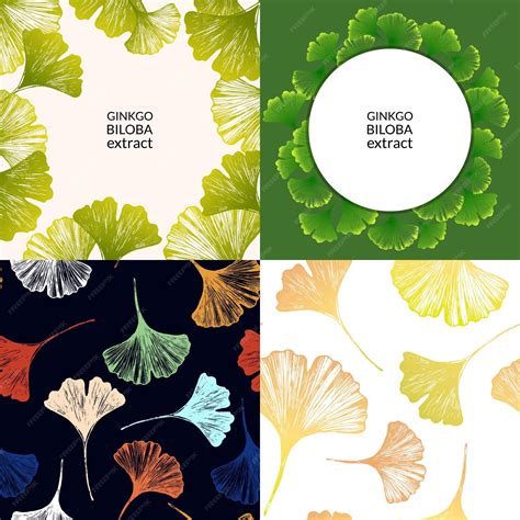 Japanese ginkgo biloba leaves frame set concept for medical or ...