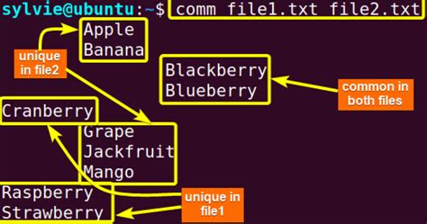 Image result for Unix Comm Command