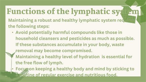 Image result for Lymphatic system Functions