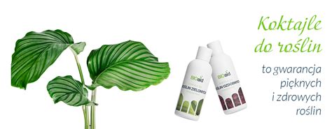 Image result for BioAid Graph