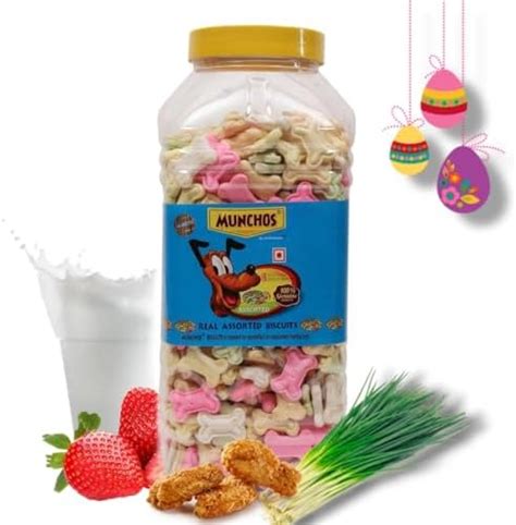 Buy MUNCHOS Real Assorted Dog Biscuits 500gm JAR (Mix Flavor) Online at ...