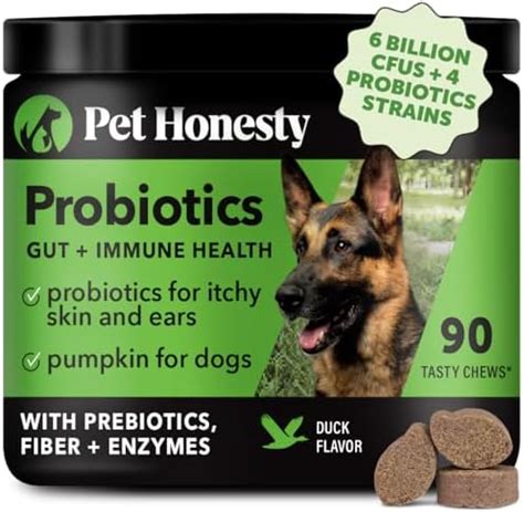 PetHonesty Probiotics for Dogs, 90 All-Natural Advanced Dog Probiotics ...