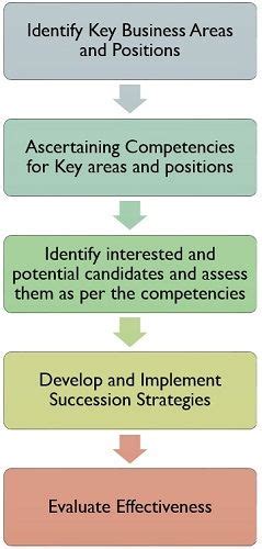 Succession Planning Process 的图像结果
