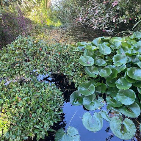 JARDIN DU RIOLLET (2026) All You Need to Know BEFORE You Go (with ...