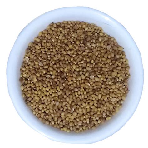 Buy Shivling Toor Dal From Best Online Store | greenton.in