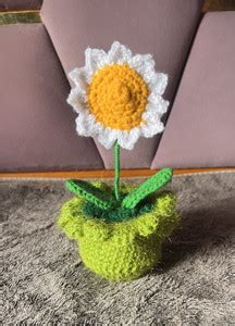 ziva Handmade crochet daisy flower pot White, Yellow, Green Daisy ...
