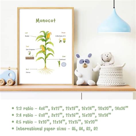 Image result for Algorithm for Java Programming