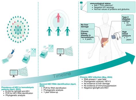 Chronic Hepatitis E Virus Infection Without Liver Injury in a Patient ...