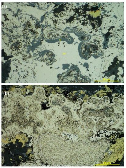 Effects of Pyrite Texture on Flotation Performance of Copper Sulfide Ores