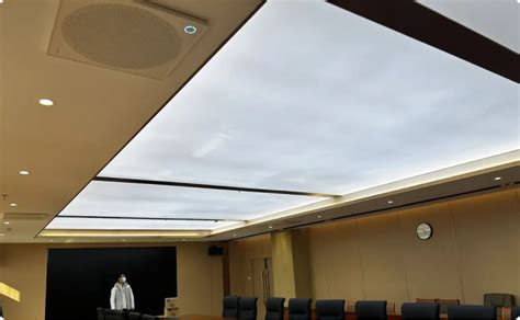 Image result for Ceiling Array Microphone