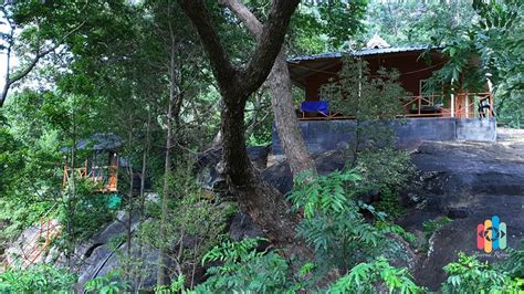 HORNBILL HIDEAWAY JUNGLE RESORTS (Marayur) - Lodge Reviews & Photos ...