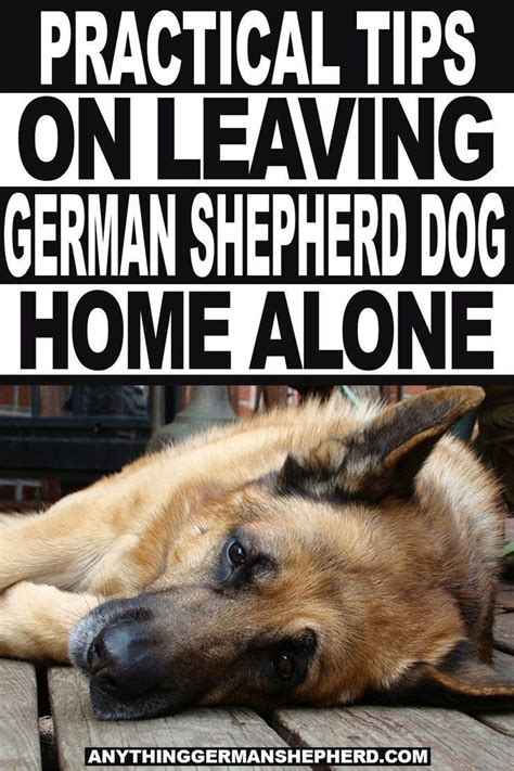 Image result for German Shepherd Exercise Chart