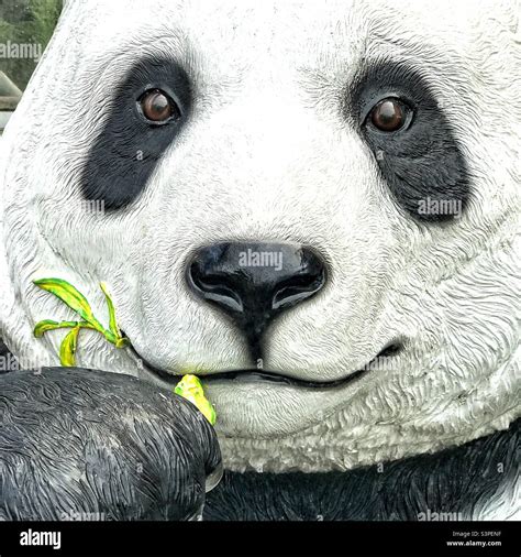 Bette Davis Eyes Meaning