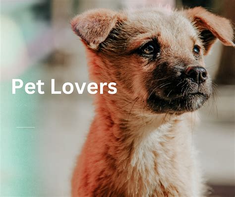 Image result for Parrot Guide