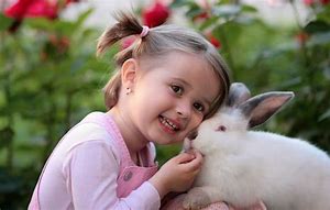 Image result for White Rabbit Gallery