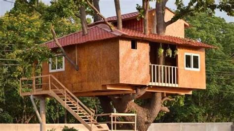 Odisha Man Builds Luxurious Tree-Top House In Village
