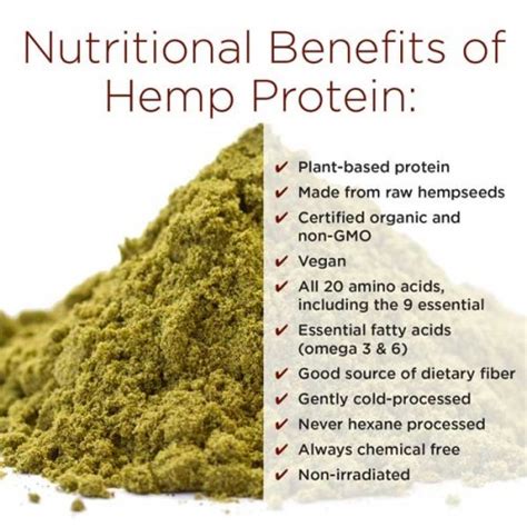 Hemp Protein Powder | Indus Hemp
