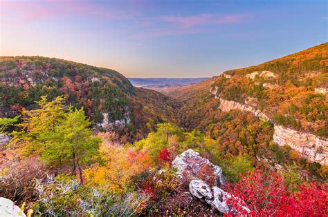 10 Best Places To See Fall Foliage In Georgia - Follow Me Away