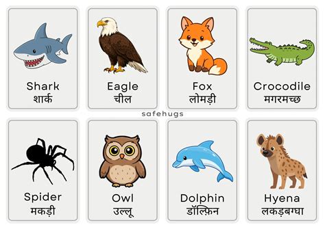 Carnivorous Animals Name List | Flesh Eating Animals for Kids