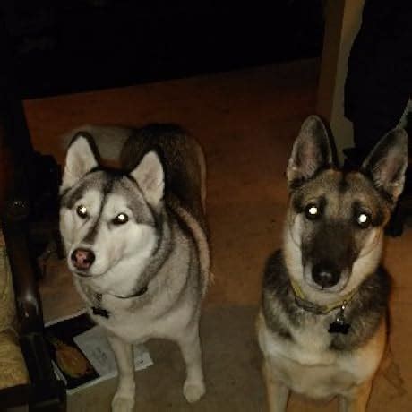 John Deere Kids Farms, Fields & Forests (John Deere: Colorforms ...