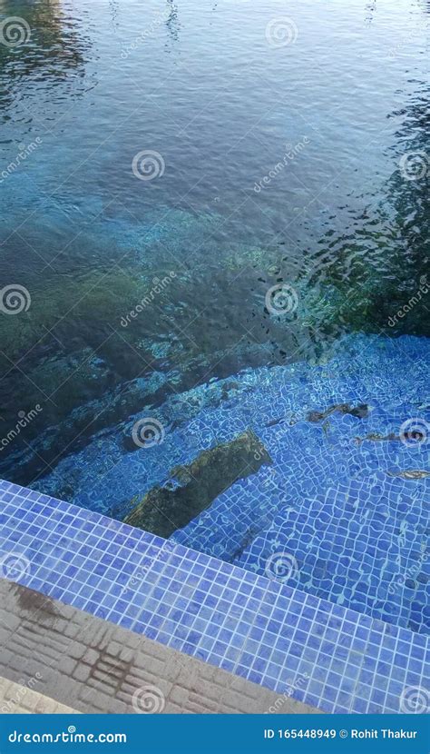 Swimming Pool Water 的图像结果