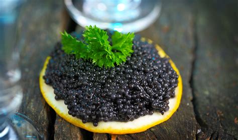 Caviar And Tequila at Weston Donahue blog