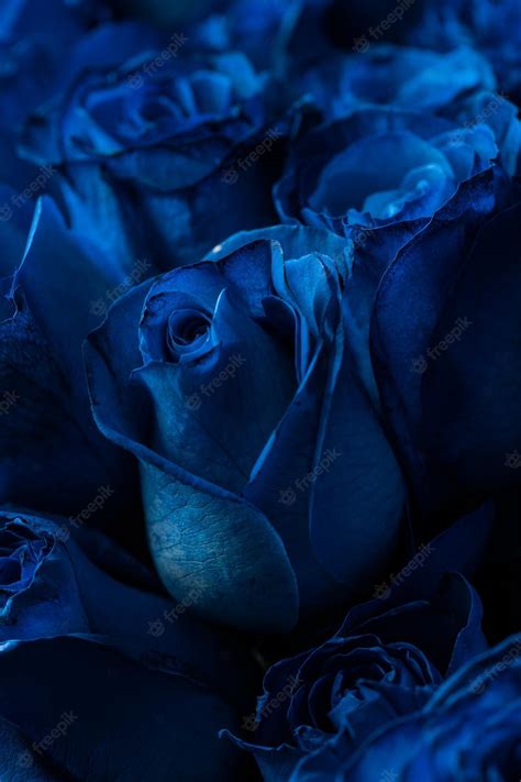 Dark Blue Flower Wallpapers - Top Free Dark Blue Flower Backgrounds ...