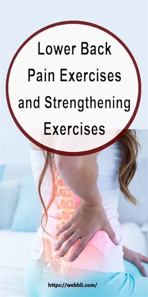 Image result for Lower Back Pain Exercise