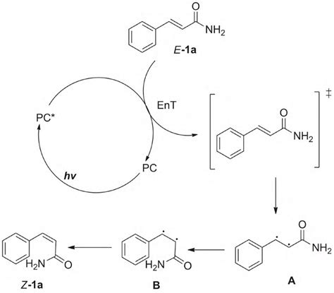 Image result for Reaction Mechanism