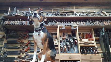 Image result for Stumpy Nubs Router Table