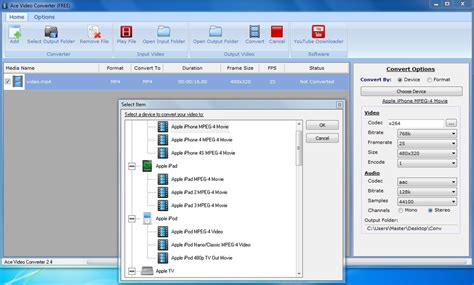 Convert Video Format Input Ace 的图像结果