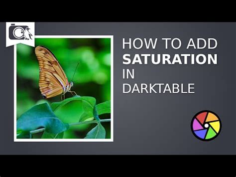 Darktable Retoque Tutorial 的图像结果
