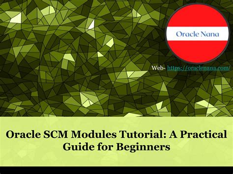 Oracle SCM Tutorial 的图像结果