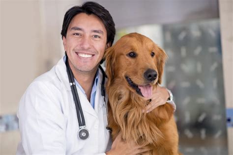 Is JustAnswer Legit For Experts? Here’s Everything You Need To Know.