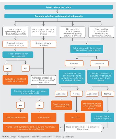 Low Specific Gravity Causes at Lisa Travis blog
