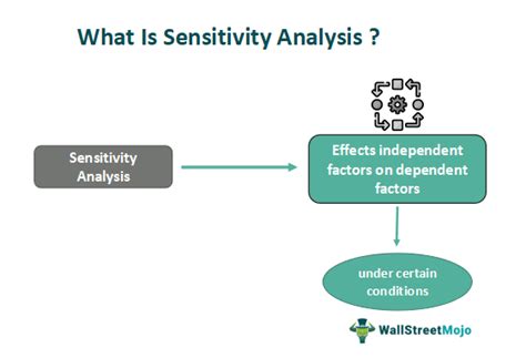 How to Do Sensitivity Analysis 的图像结果
