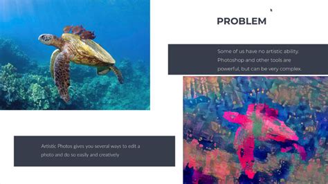 Capstone Program 的图像结果