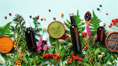 Image result for holistic medicine