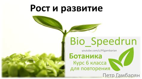 Развитие растений огэ