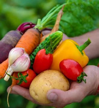 Shanti Sheet Grah Pvt. Ltd.