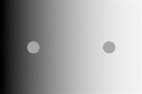 Image result for Visual Perception of Brightness