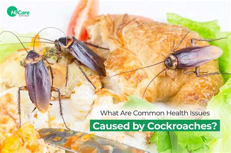 What Happens When Cockroaches Touch Humans? Shocking Facts!