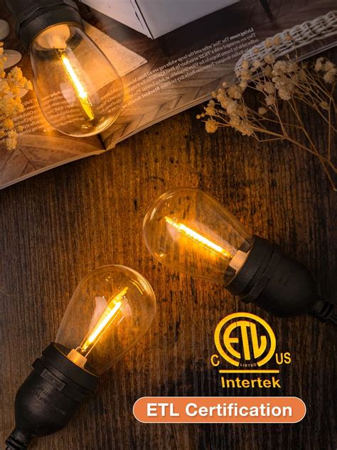 Buy addlon LED Outdoor String Lights 48FT with 2W Dimmable Edison ...