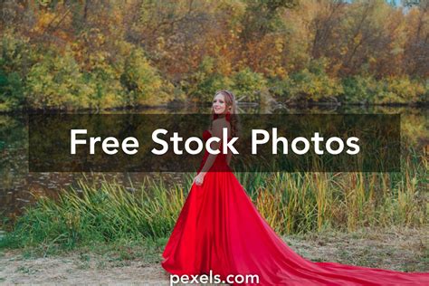 Exclusive Community Free Stock 的图像结果