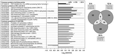 Exogenous Auxin Elicits Changes in the Arabidopsis thaliana Root ...