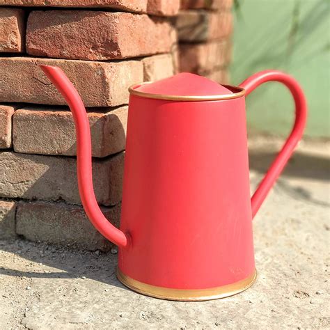 ecofynd 2 Litre Metal Watering can for Plants | Garden Water can for ...
