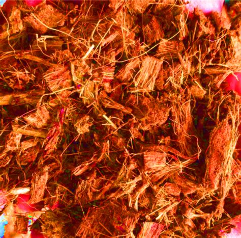 Image result for Coco Peat Sticker High Resolution