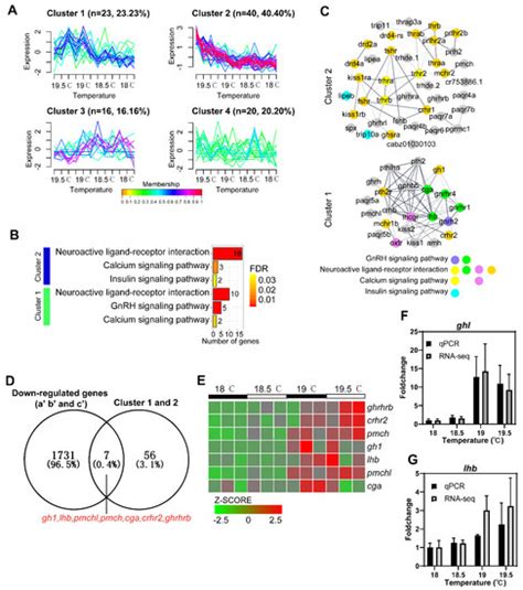 Transcriptomic Profiling Revealed Signaling Pathways Associated with ...